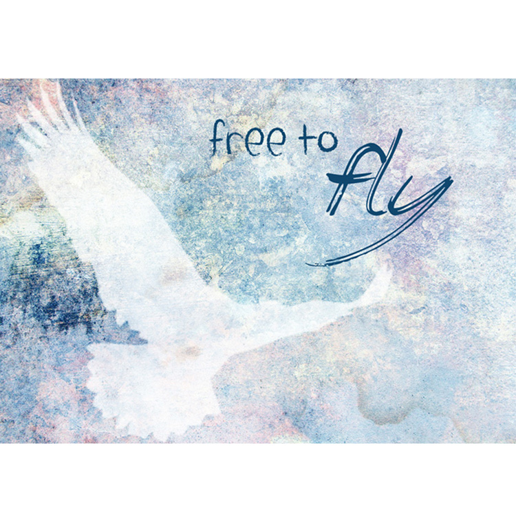 Free to fly (Postkarten)