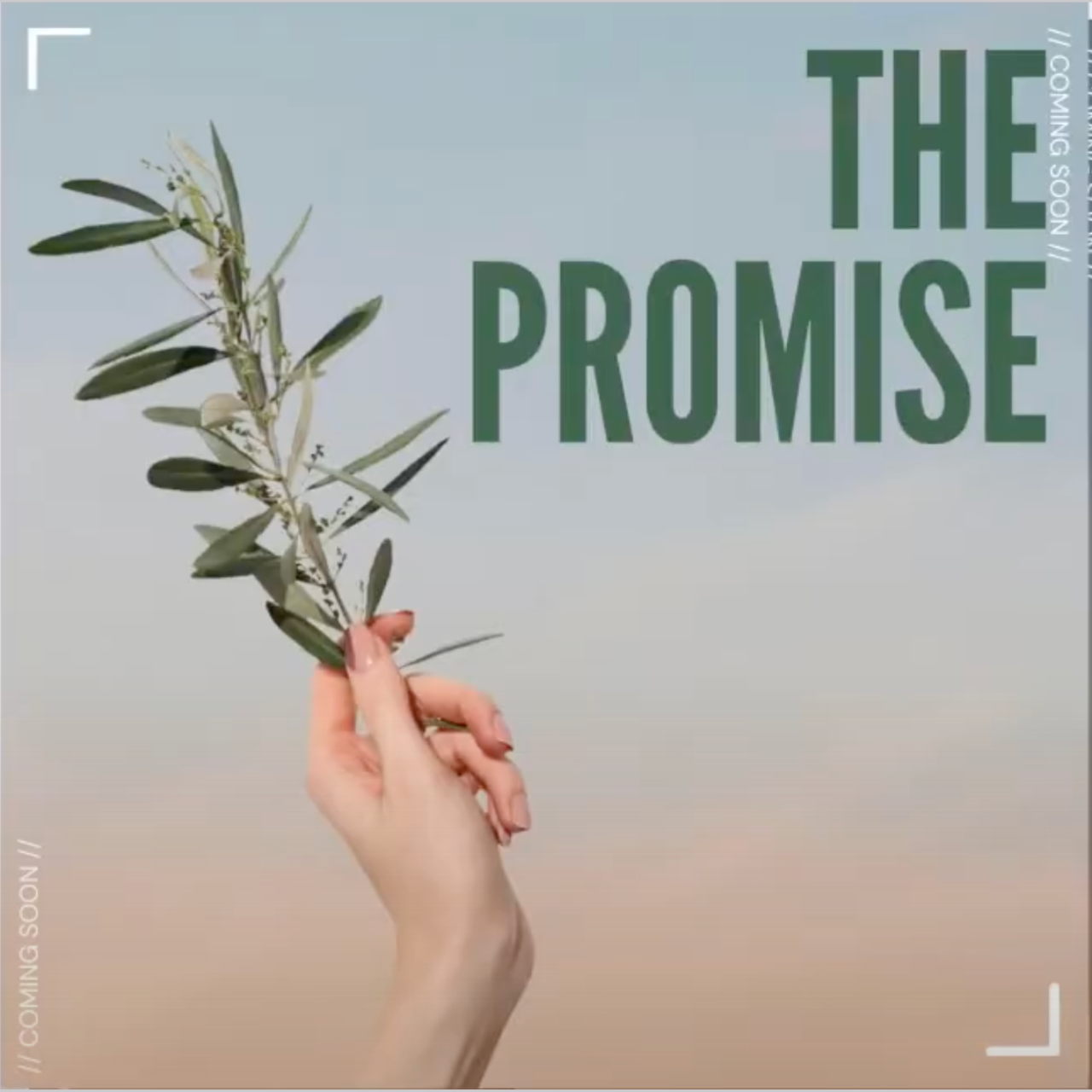 The Promise (CD)