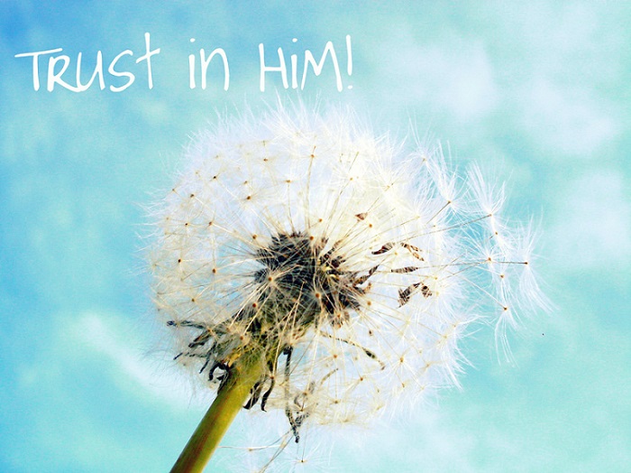 Trust in him (Postkarten)